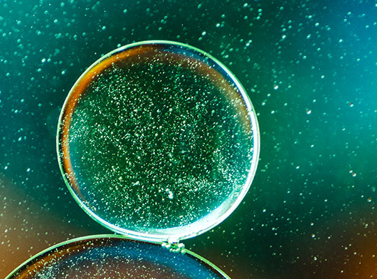 Τμήμα Μοριακής Βιολογίας